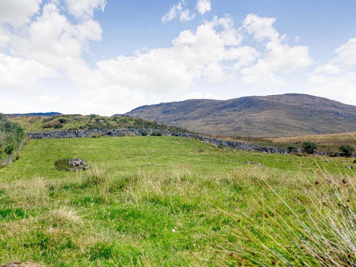 فيلا Llety Nest Llanfachreth المظهر الخارجي الصورة